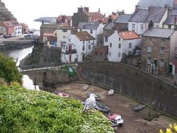 Staithes 3.JPG